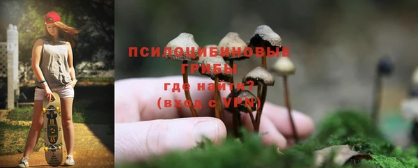 синтетический гашиш Костерёво