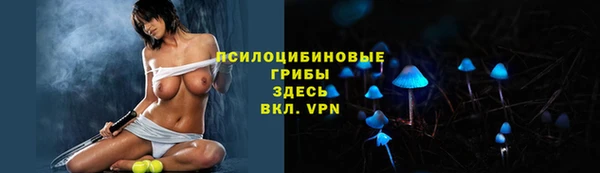 синтетический гашиш Костерёво