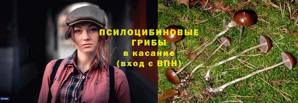 синтетический гашиш Костерёво