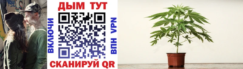 Купить закладки  Горбатов  Бошки Шишки ГИДРОПОН 